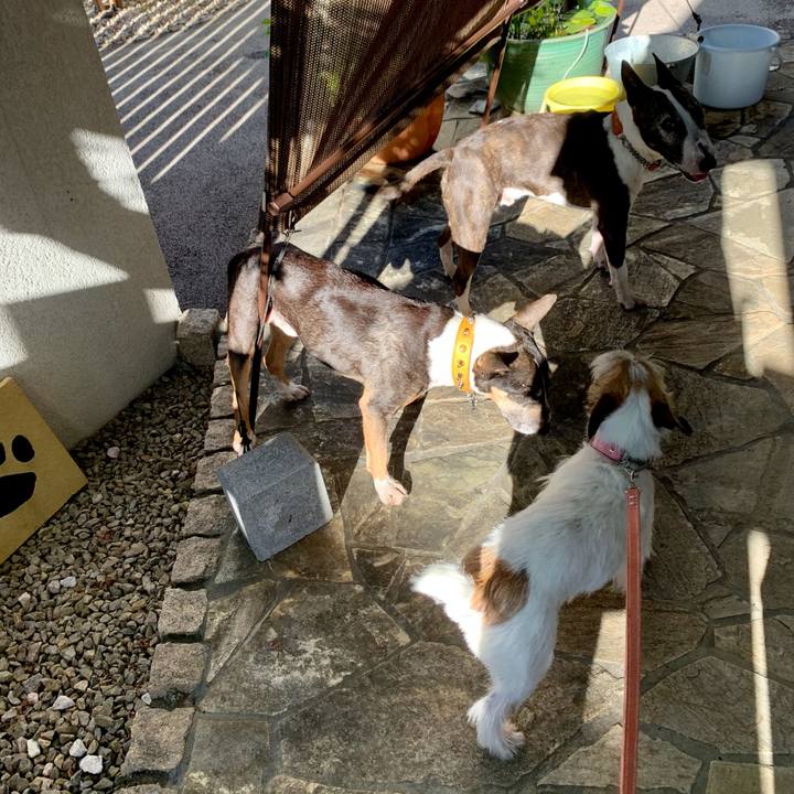 F3cc6b40 fd8f 4b51 b07f c7d32b4a2661 1628219926646