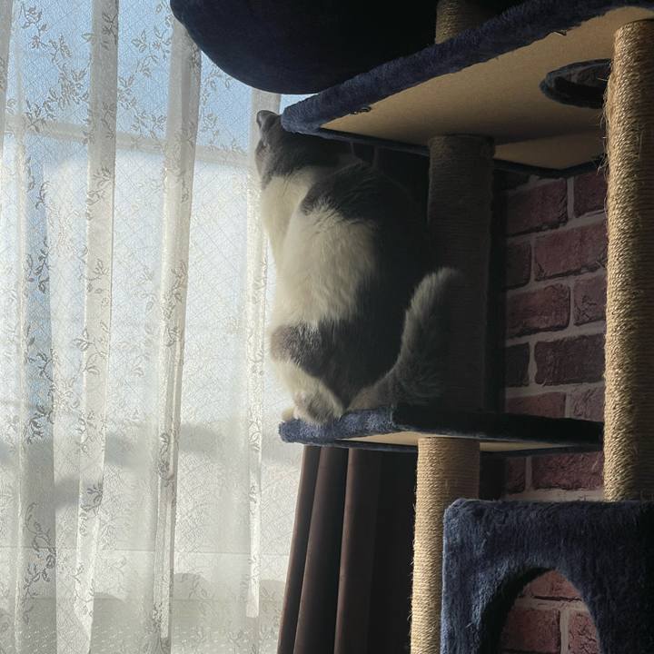 F3cc6b64 4cad 401d ada5 9920d8d1c342 1707786679419