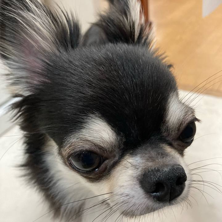 F3cd0d20 ca1b 4e6e bcc8 31629c670100 1628431238459