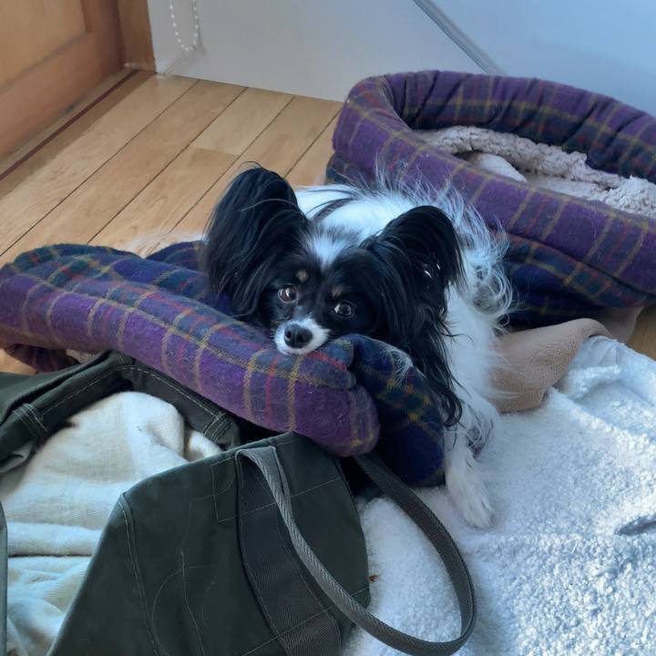 F3cd1a9d 5576 4a27 b442 b2fff0a8b7bc 1585982037036