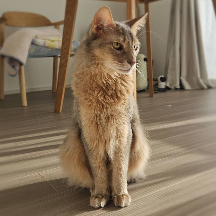 F3cd4d7b c82d 4653 a257 f669e6de1661 1767325605841