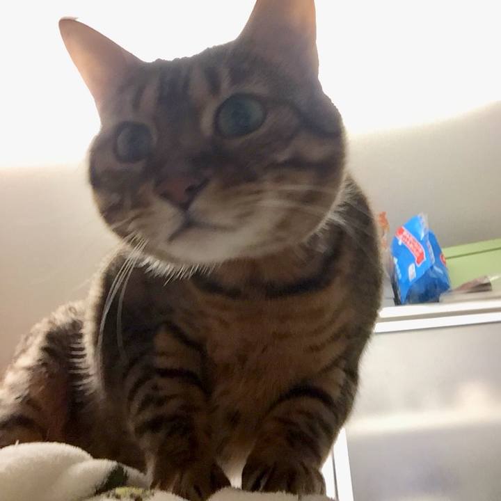 F3cd730f dd85 4289 9c4d d0b92012a21c 1516145719012