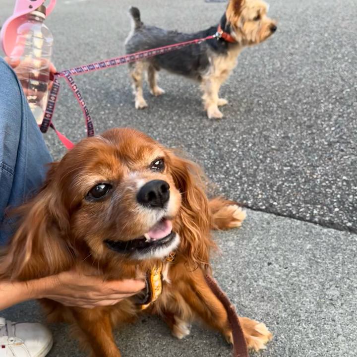 F3cd9bda 1aa3 4ece 8c66 c8e5b73928d7 1664700920117