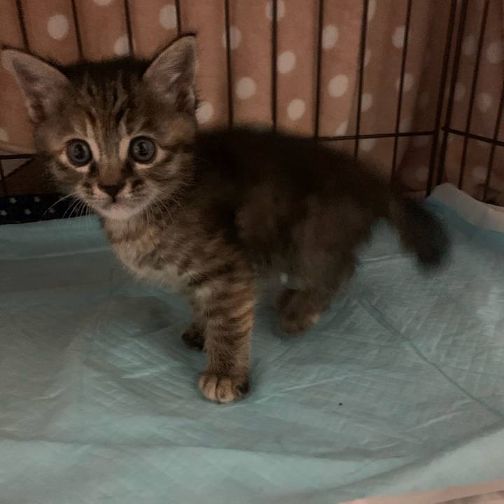 F3cd9db9 015c 4621 bb05 72760caedad4 1588777120481