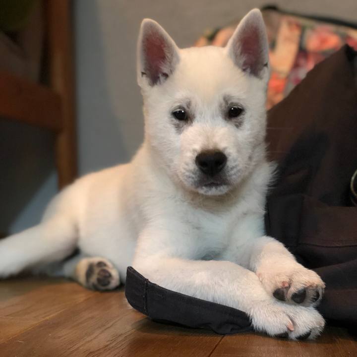 F3cdd852 2ba1 487e a5a9 2521511d1115 1511174582034