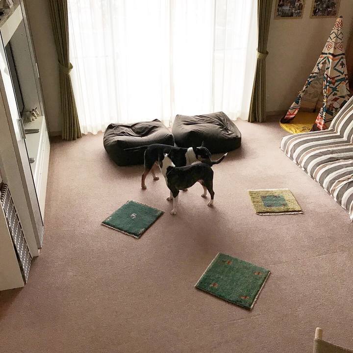 F3cdecb5 e2b5 484c 9010 88e403a7c36b 1521368068076