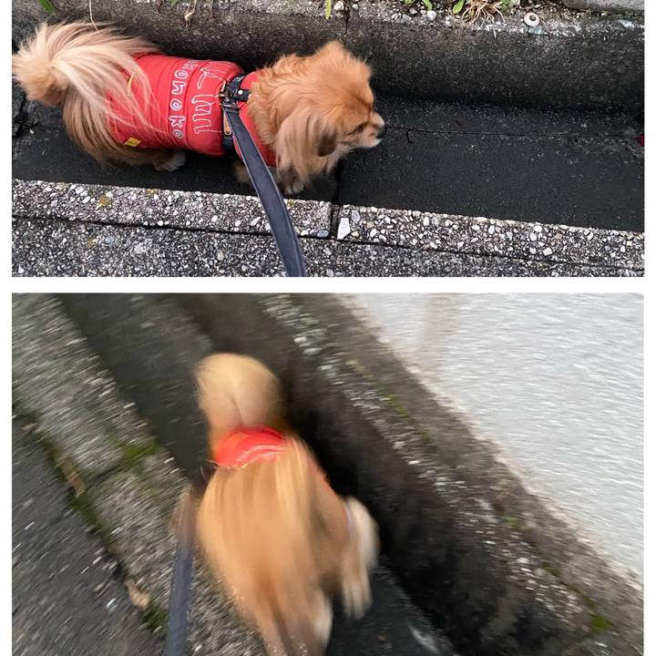 F3cdf159 54eb 4a2f a571 a5b452c4cb6f 1578697698626