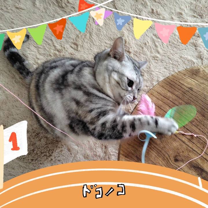 F3ce81b2 bb75 461f a6b3 ced10feb2a7a 1761608382930