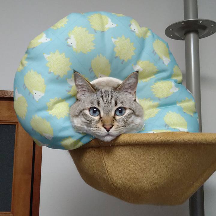 F3ce825c 0b76 4eab a56f 0a908caa67a5 1686913359078