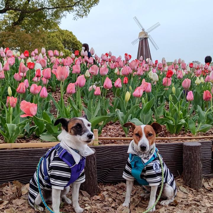 F3ce976d a00d 4f64 bcb8 5771d4cbaa83 1616835880444