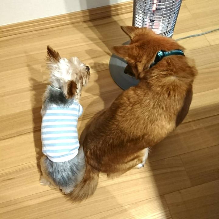 F3cee930 9a8a 4dc6 b6aa 5450abb82df7 1513999051117