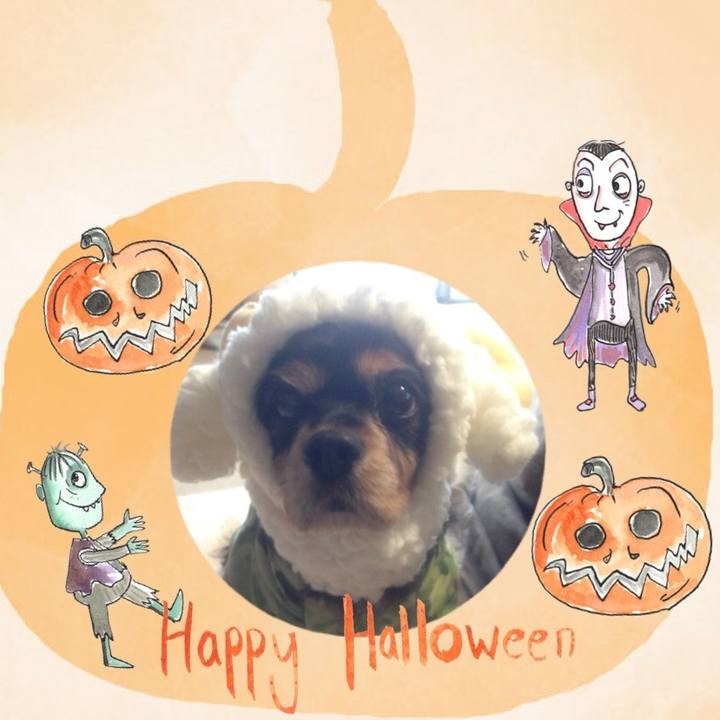 F3cf1e3a 7afa 438a 8045 0531f5f54d5b 1507975405163