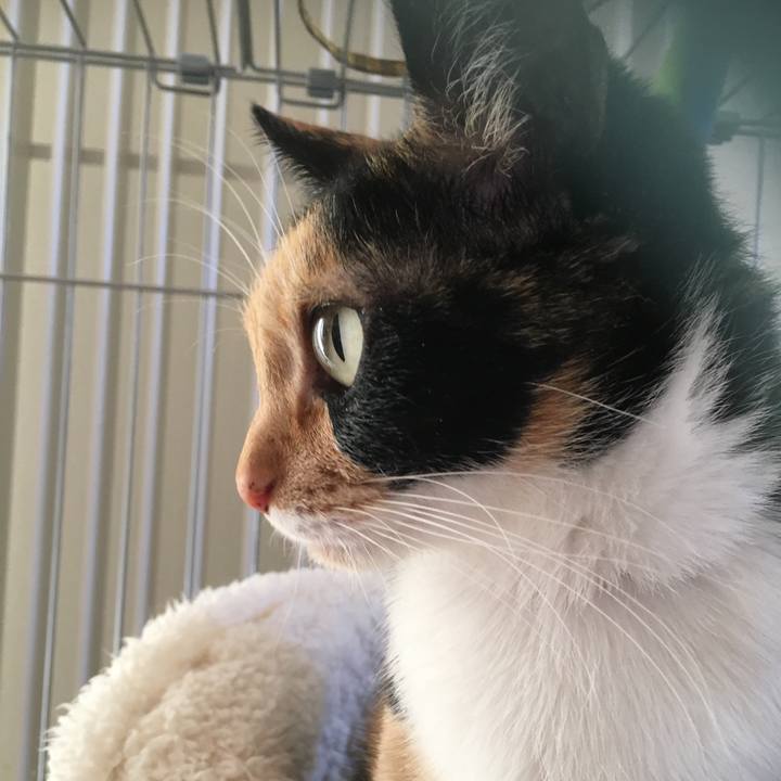 F3cf1f89 6e01 4175 aacb 719f151a5960 1513823881192