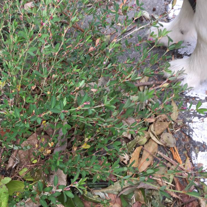 F3cf4673 a941 4835 a2a2 ec3dcf9a6730 1569454901946