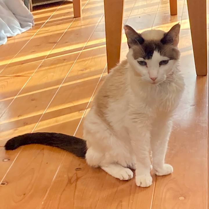 F3cf6988 31aa 471a 9c1b da96fcf64e49 1678088108275