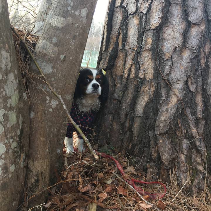 F3cf76f8 798b 4643 aaff 1b3bbb1e6217 1521955877331