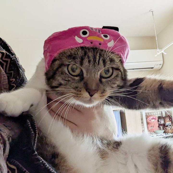 F3cfce2c 06e1 4be3 8a95 f089083b3fe0 1758770187508