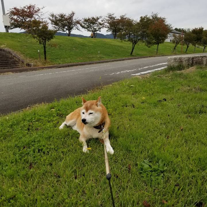 F3cfdf7f 8f59 4a5e 865b 3b123d383258 1665286998141