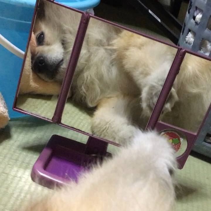 F3cfe64d e72b 4382 a849 8b995dd165d6 1549288201791