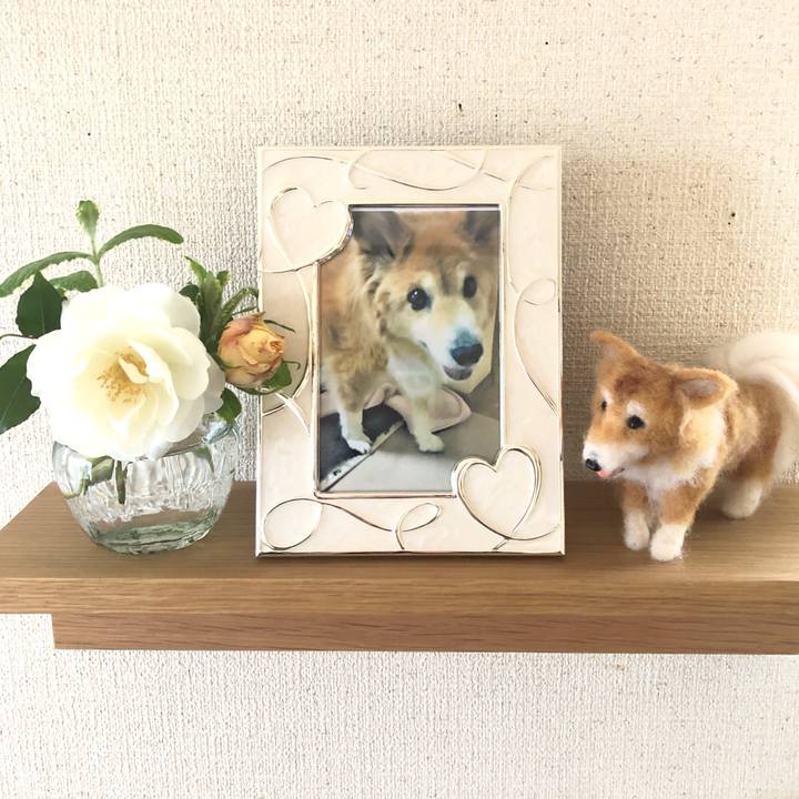 F3d002bb f718 46ea 90e9 cc63ac94d953 1557651838867