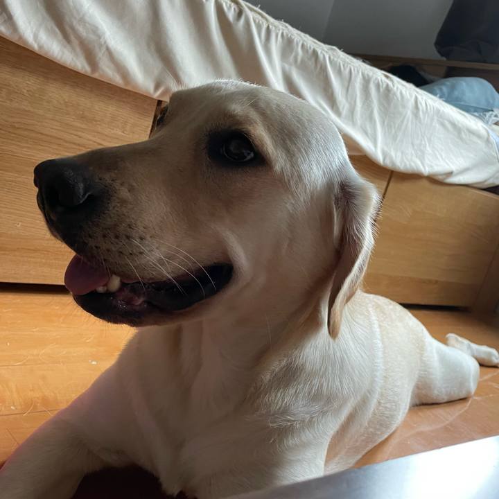 F3d09b9b 1e59 42b6 81bd e7041e9cf915 1659158580218