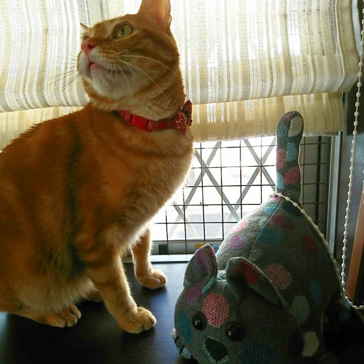 F3d0cccc 4ec1 49ba 9859 678d0e59ab13 1515290996583