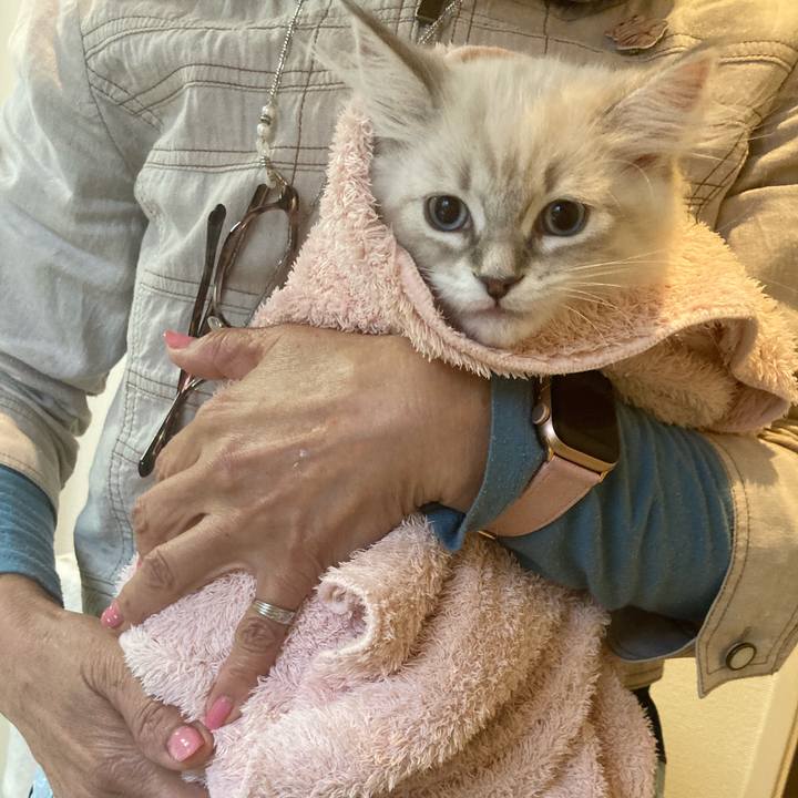 F3d0cda8 cea8 4c49 bb6a 491e7715b532 1666422957933