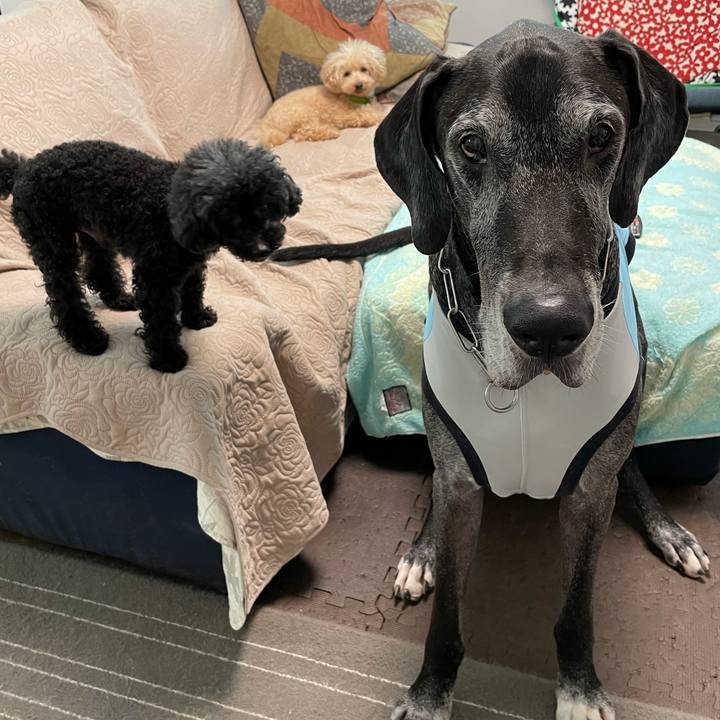 F3d0d33b 30e4 4404 b13a 1344b95b4d3c 1631228193965