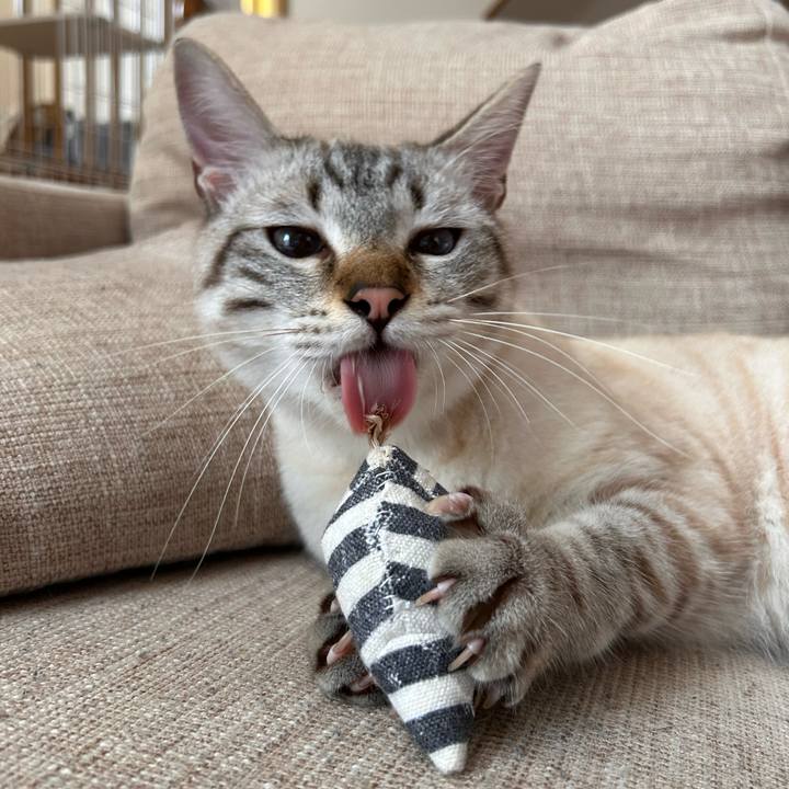 F3d0d3b5 0be3 4712 91fc 804efdba4e44 1763035558192