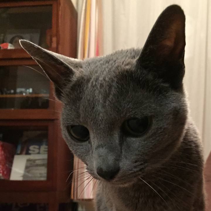 F3d1059e c76b 4798 9a4d aed5fd10c08d 1576019546560