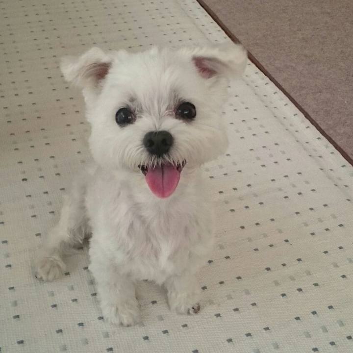 F3d10b78 a35b 418a 98c3 22c414748812 1513130775873