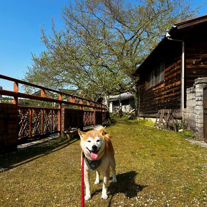 F3d10d70 97e6 4634 81bc 443a553b3c41 1713517688173