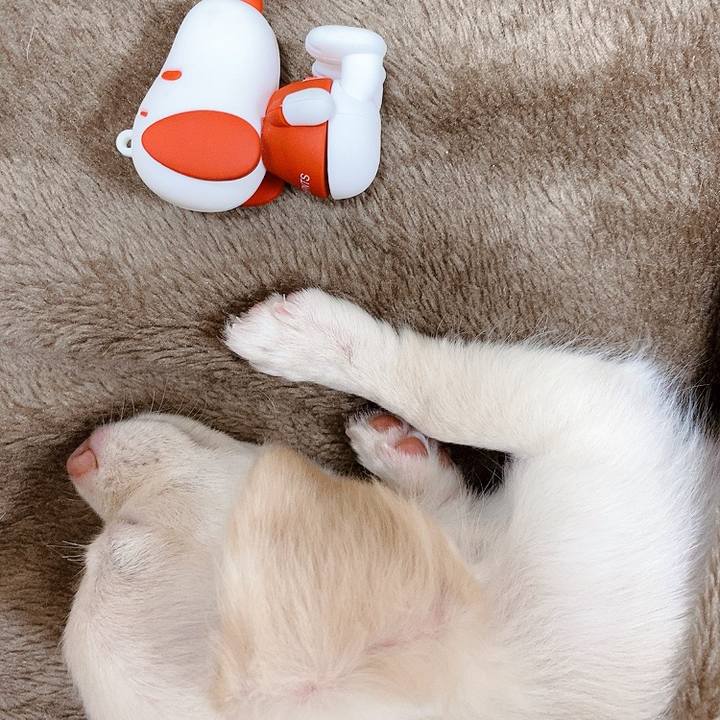 F3d10dd0 3222 466f b0d8 d0710c72cb33 1591007642558