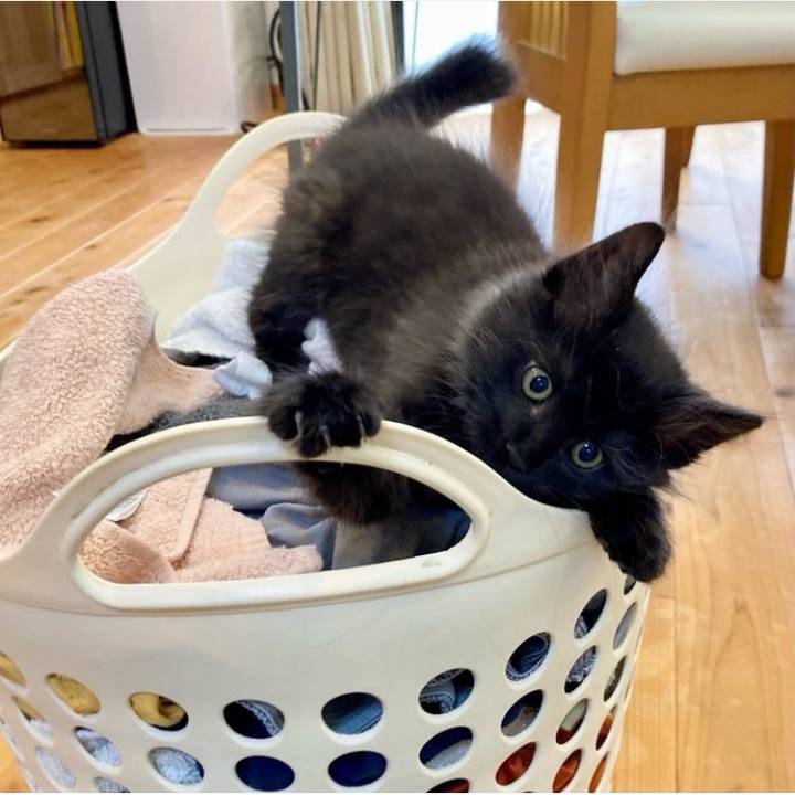 F3d1288b 32f7 4f7c 9365 d42a1b4fe898 1762918898507