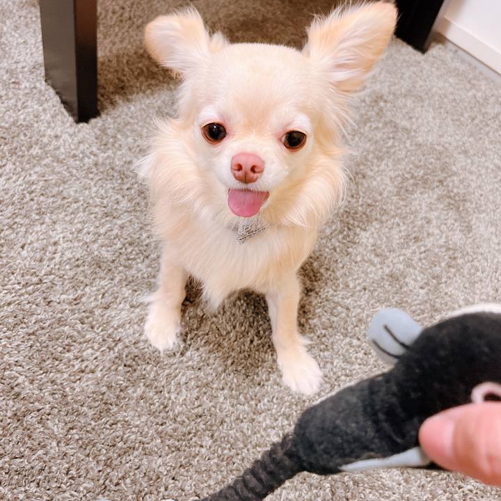 F3d154c4 84e5 4e27 bce3 d8d4039c0f91 1653994697898