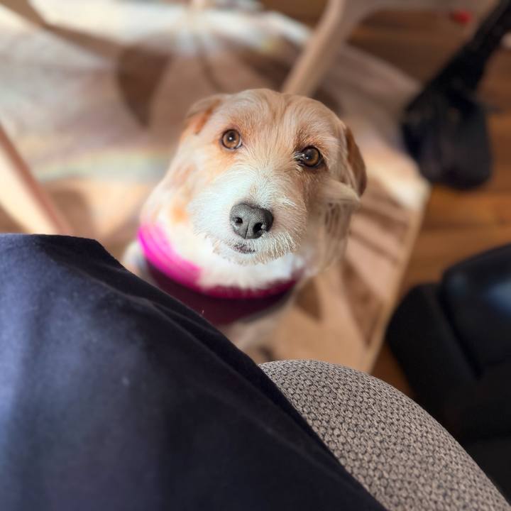 F3d16083 7d6a 4e10 a286 9a861250d440 1770472805055