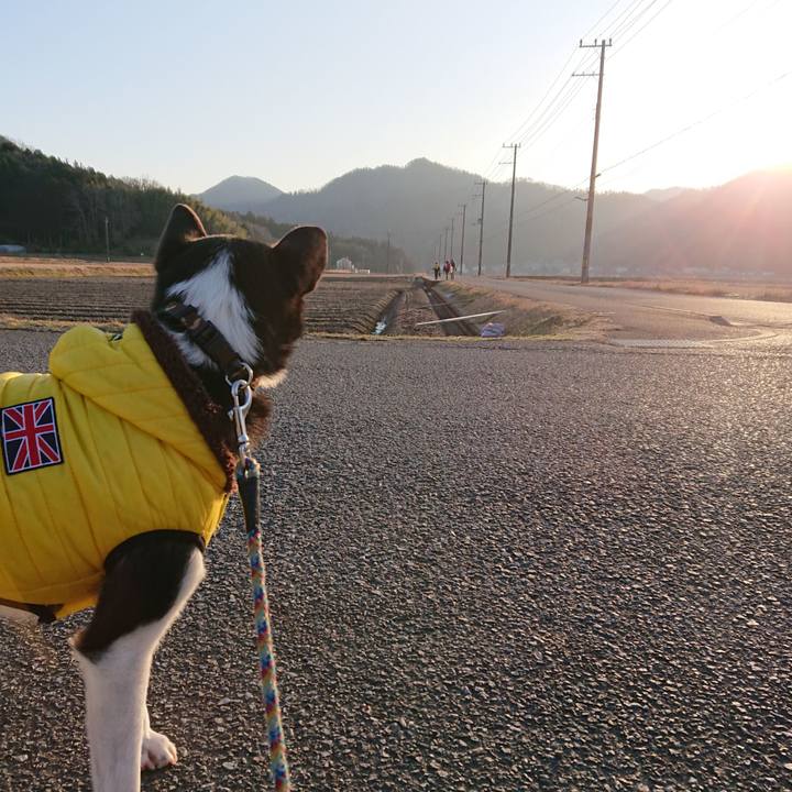 F3d17d86 d6c8 4751 b569 2dd50cf872b3 1517790614541