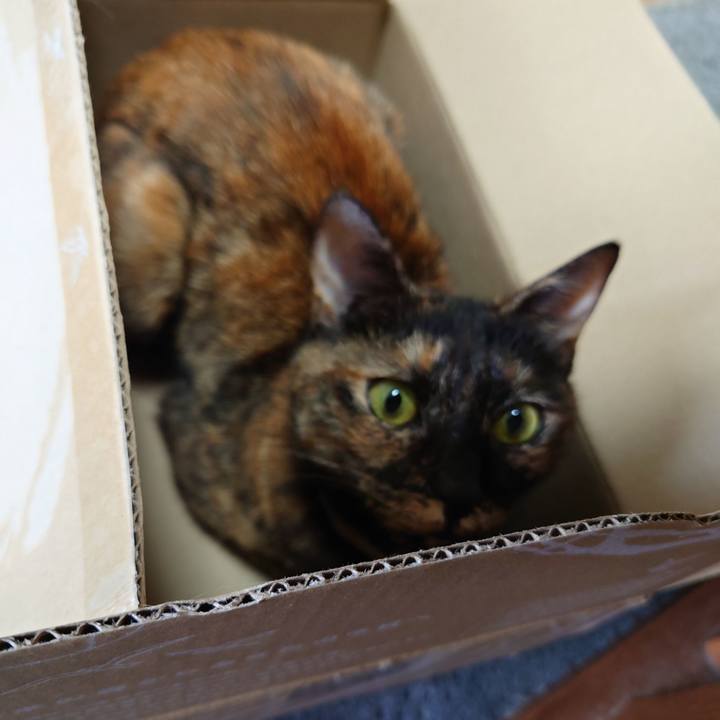 F3d17f5c 4618 4917 b2f7 94876dcd034b 1658120559231