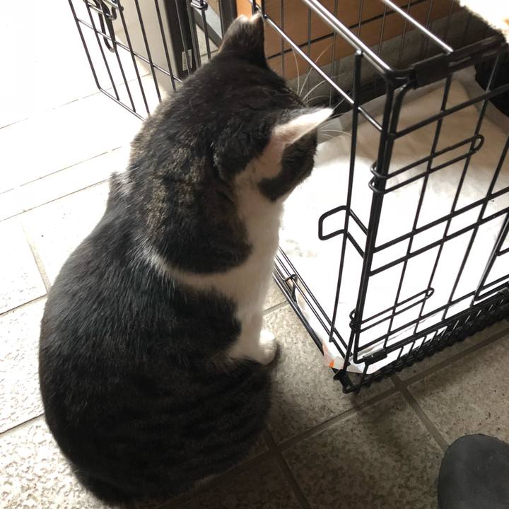 F3d18500 8789 40fd a75b fa581af89a2a 1537850565496