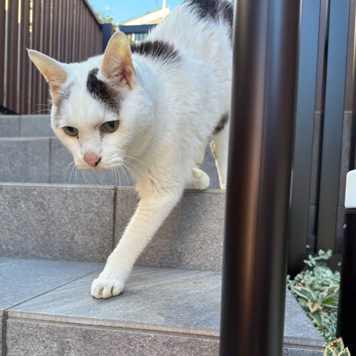 F3d19dc0 4d8a 4572 8ee2 ce7175e48385 1765771737122