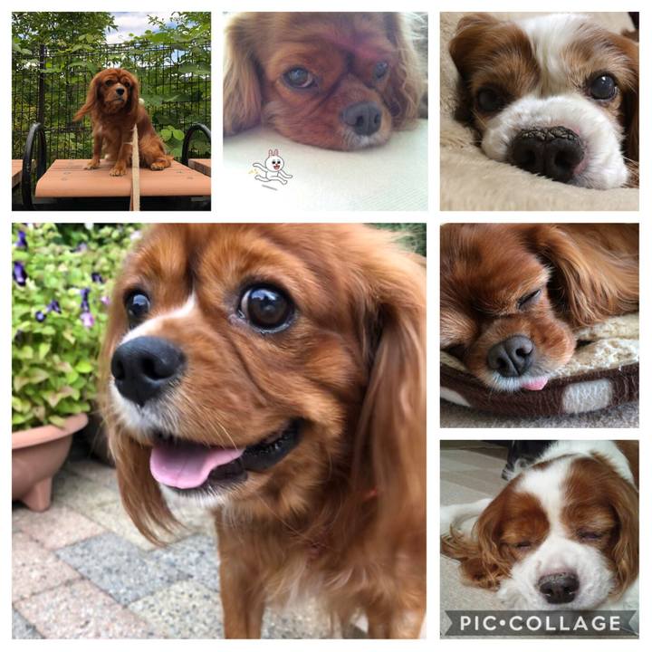 F3d23422 7e0e 4d6f ab54 80296e4e0a44 1571236781017