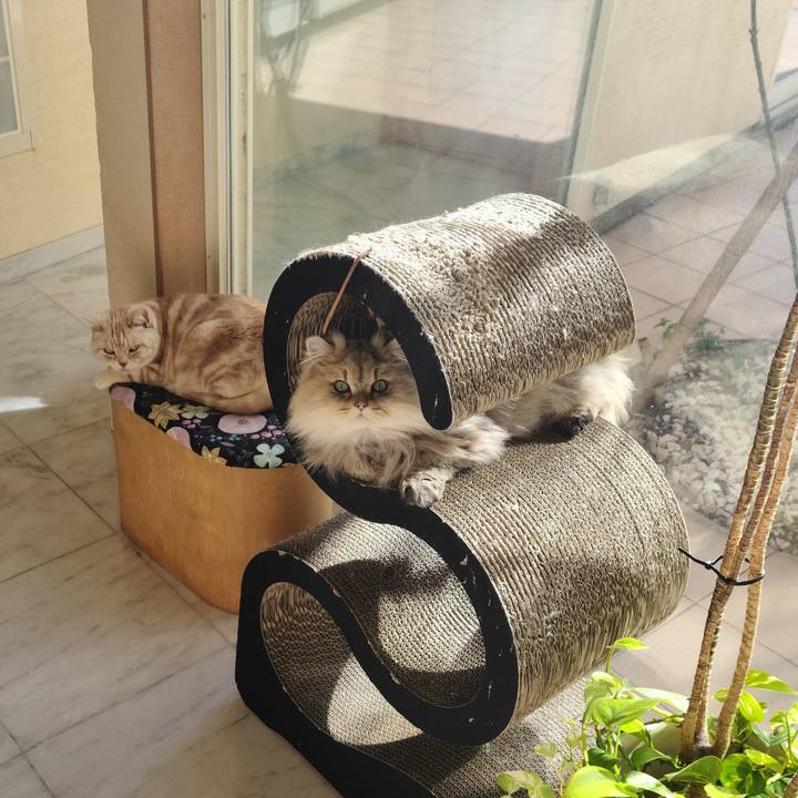 F3d2391e 9695 46c5 9e76 821e37986375 1613437241312