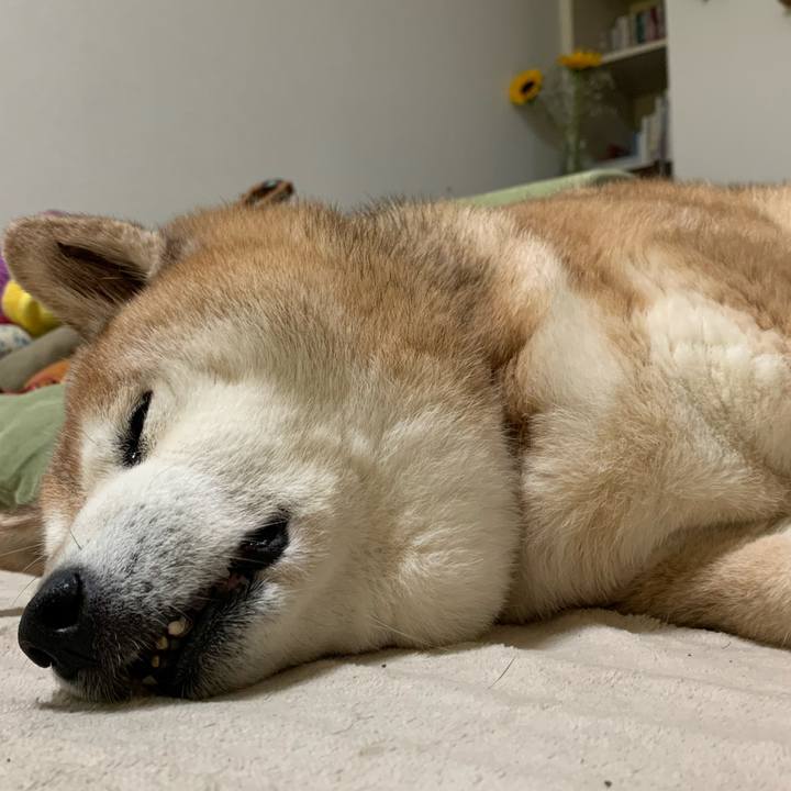 F3d2442f 5437 40b4 9818 bf0a9ec5408d 1592022073174