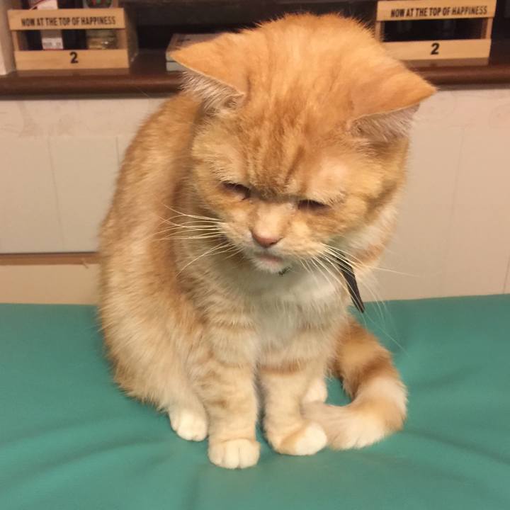 F3d26404 3676 4816 b128 9989a8616df5 1550999593425