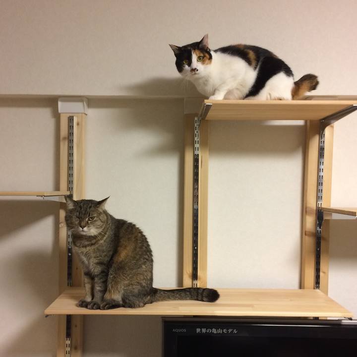 F3d2682c 79b3 4426 8d64 3eae1c49c7c0 1554162124395