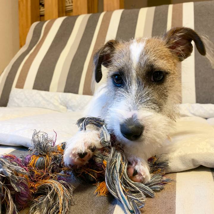 F3d28103 867b 4c5f b2ed 76cccdfdbdb2 1564914661103