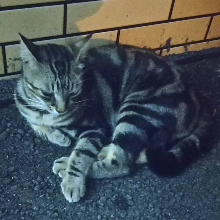 F3d2c52f be35 4c64 83c2 ce4ad3bda3ad 1535434190595