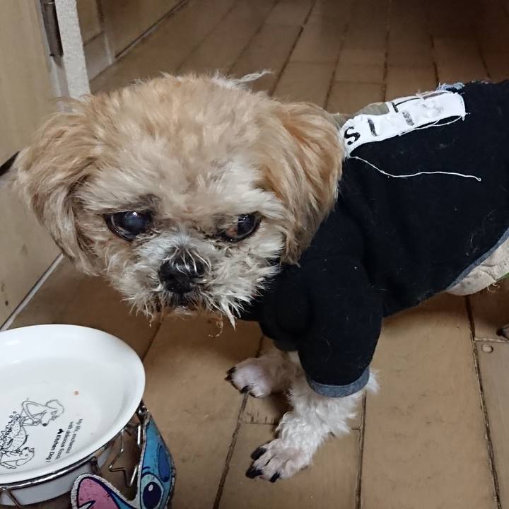 F3d30d10 5c45 43f5 8133 678717186798 1713792329393