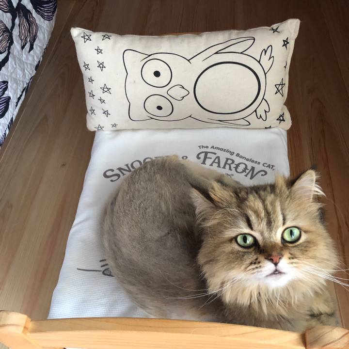 F3d34e02 07d5 4535 bdce 7a5be01731ff 1591409167904