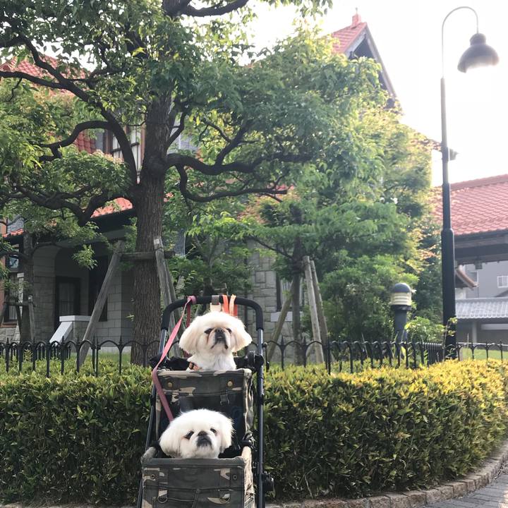 F3d354b7 cfde 4cb6 a72d a953a1fce34a 1526808290146